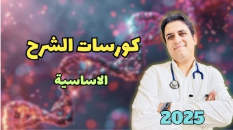 كورسات الشرح الاساسية
